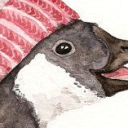 Victoria Geese Discord server icon