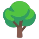 🌳 Bob the Tree’s Garden