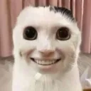 Megatism discord icon