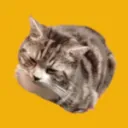 The REAL Zakarib8ate discord