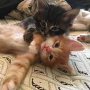 sunswel care