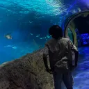Marty’s Community