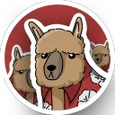 All Alpacas