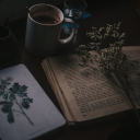 Midnight Ophelia Academy Discord server icon