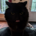 Whole Lotta Fireworks