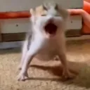 tickle my toes
