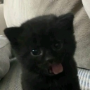 •  dystopian Discord server icon