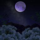 Server Icon