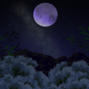 Ire Aulaeum | 18+ Discord Server Icon
