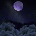 𝐈𝐫𝐞 𝐀𝐮𝐥𝐚𝐞𝐮𝐦 | 𝟏𝟖+
