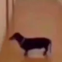 Amostradinhos do GustanmM