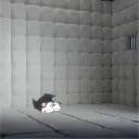 psychwards