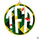 Discovery icon for Touch Football Alliance Discord server