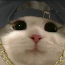 zoews