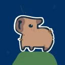 capy co.