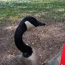 Braxton's server Discord server icon