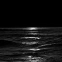 Black sea avatar