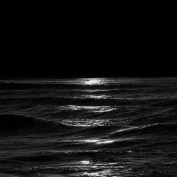 Black sea banner