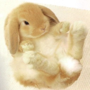 tehbunnisquad Discord server icon