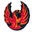 x - CVFirebirds