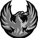 CVFirebirds