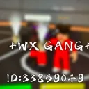 +WX GANG+