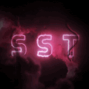 𝚂 𝚂 𝚃