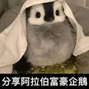 Puicar車休閒Oin