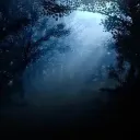 Moonlit Grove