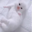 ૮ • ﻌ - ა  　 /engraved