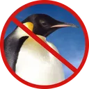 DejaMango