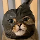 Server icon for batcave