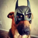 Server icon for Bat Cave