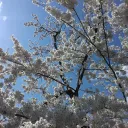 面接会場
