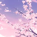 ⁺ 　　🌸　　　➹　　Petal