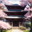 Cherry Dojo