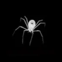 🕷 | SZN Community