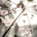 𝐇𝐀𝐍𝐀𝐁𝐈𝐑𝐀 💮 [JOINSVI!]