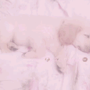 🐶ρℓᤐⓐყ.թᥱꪀ🍩