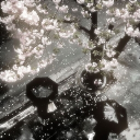 𝑻𝒉𝒆 𝑺𝒆𝒓𝒆𝒏𝒆 𝑪𝒊𝒓𝒄𝒍𝒆 Discord server icon