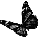 Psychí Society ཐི༏ཋྀ
