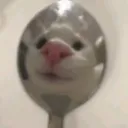 thgrptwt but SILLIER