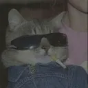𝕆𝕤 𝔻𝕠𝕚𝕕𝕚𝕟 𝕕𝕒 ℂ𝕒𝕡𝕚𝕩𝕒𝕓𝕒