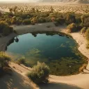 Midwest Marvel Oasis