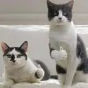 癲王谷