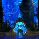 The Shark Tank