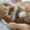 ムチムチjk