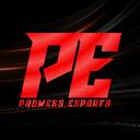 PROWESS ESPORTS  Discord Server Icon