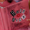 ꒰・ Burn Book ๑ Discord server icon