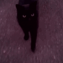 kokobeans Discord server icon